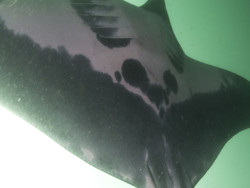 f4ff5f52-3c16-4714-9d20-5ec4b9d6b60c