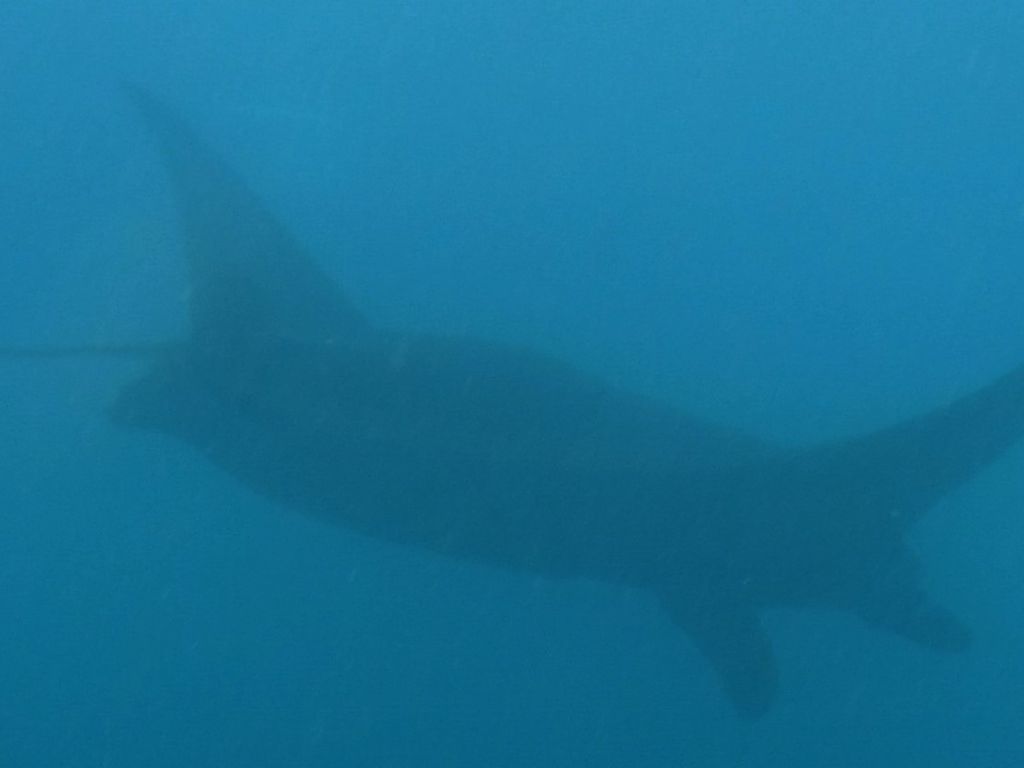 8e3aae23-b895-4570-a4d7-f935fcd95a0d