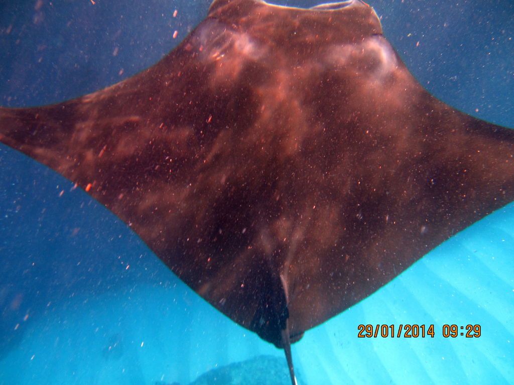 915e89f7-09eb-4ed4-9e15-2a590bc57bbe