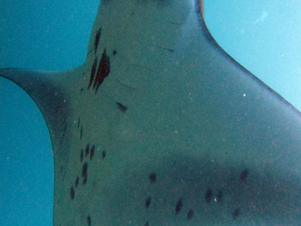 d313747b-ce22-49f2-83cb-2118a9ab10d1