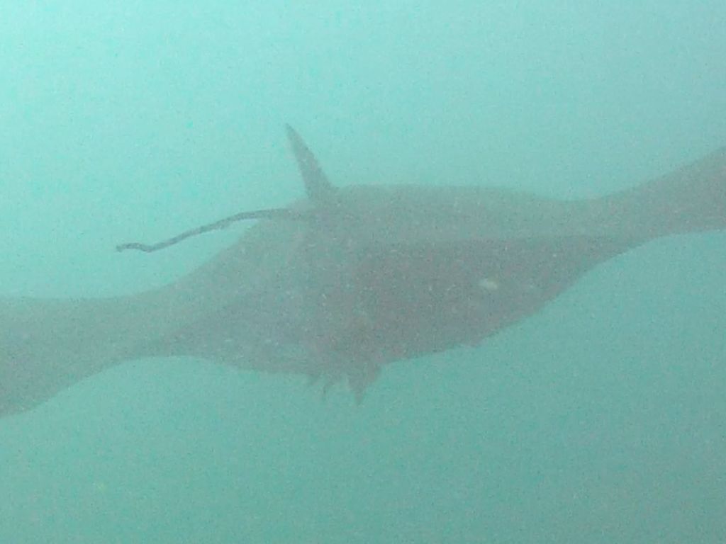 8322fc22-7577-439b-8544-294da5dda65a