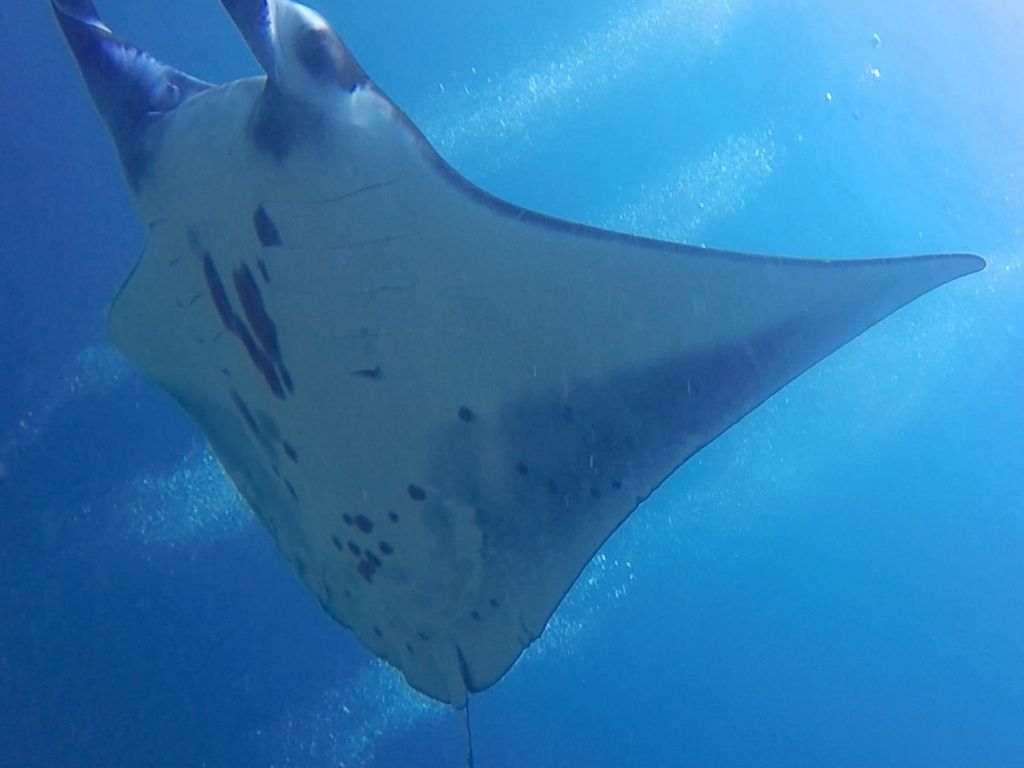 f9f88882-ca81-4b54-be32-e9f2de9a43f7