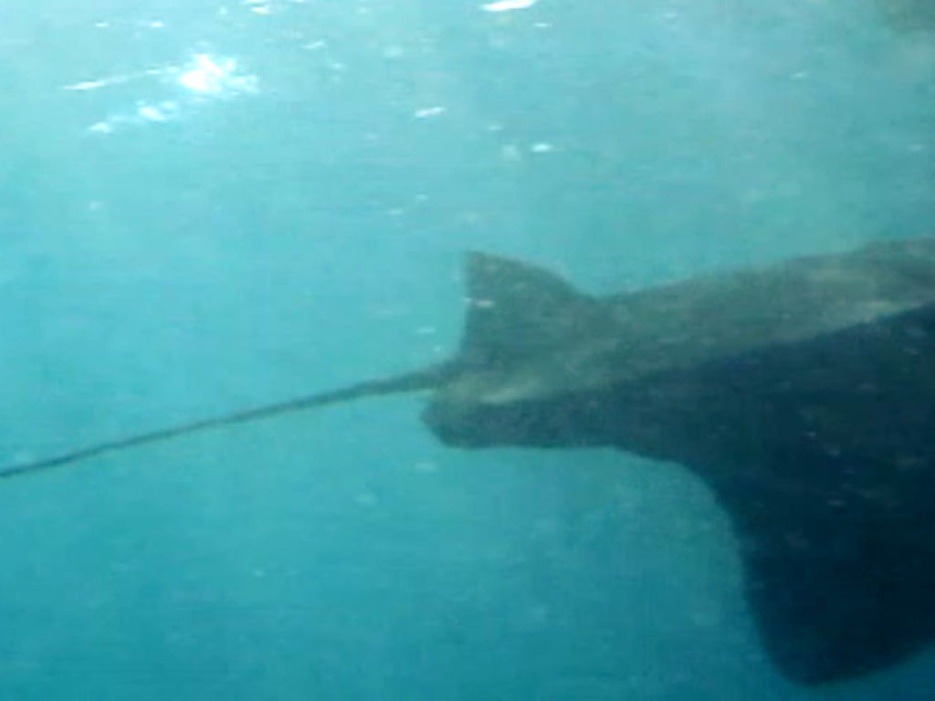 f8c02cef-88ba-48cf-901a-f515a36e3ef2