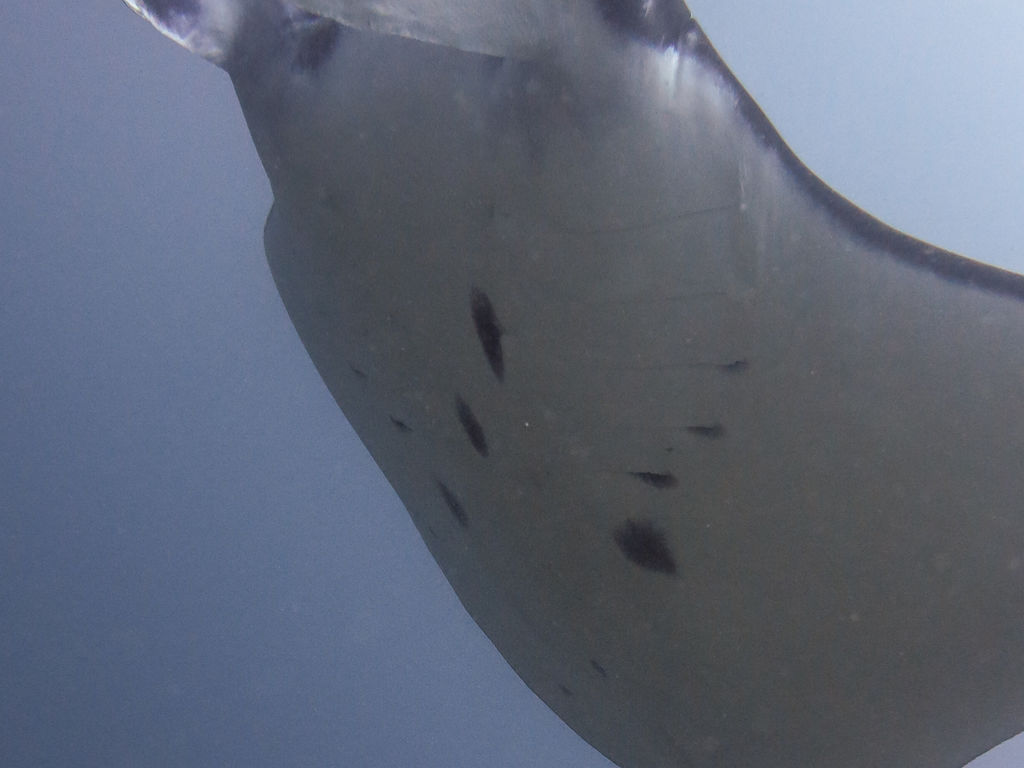 46d13aa0-163c-405a-ab91-c6987654e153