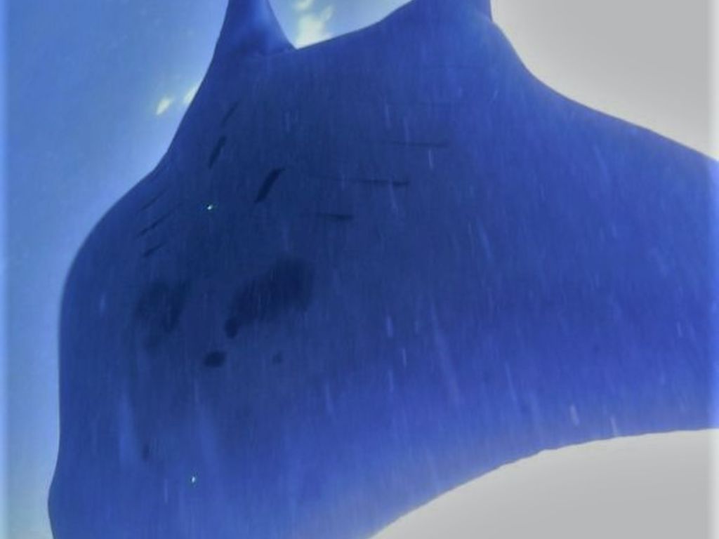 a8952e1c-36e2-41dd-a8ed-1b20825eaa07