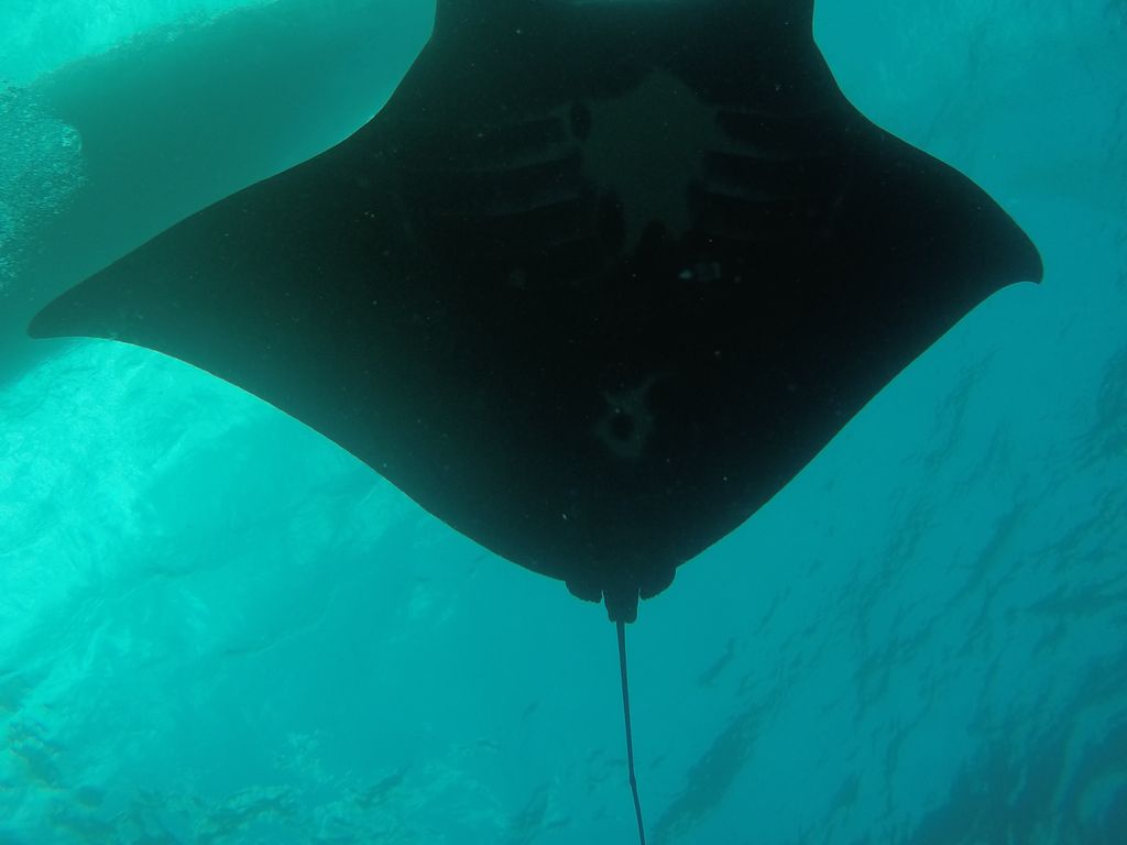 de4abe37-235b-47fb-b385-67139db4f62a