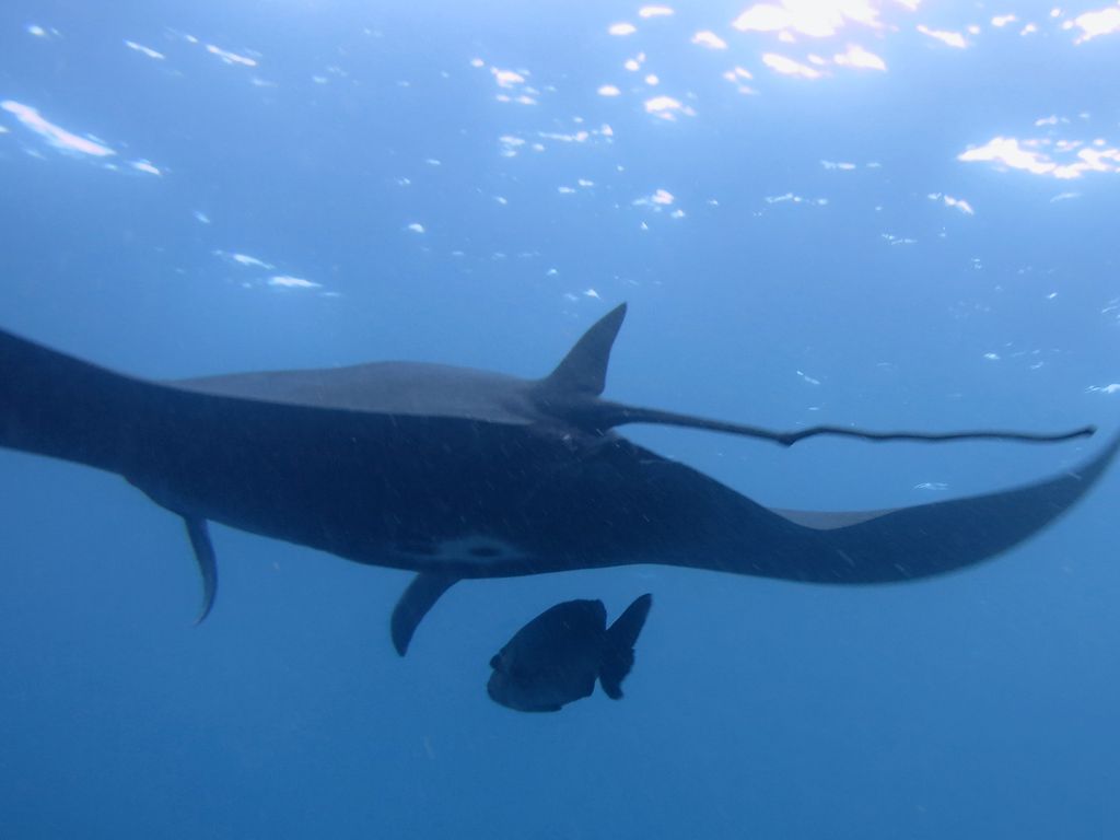 de4abe37-235b-47fb-b385-67139db4f62a