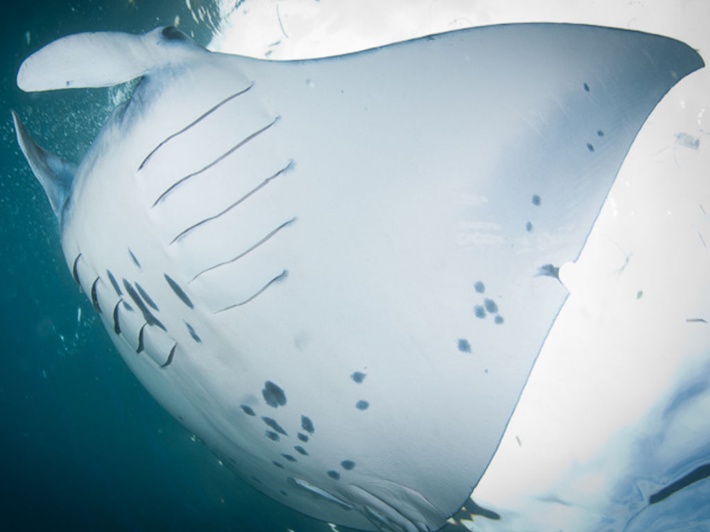 65aaa2d2-c7ed-436e-9891-2e423b8a2b53