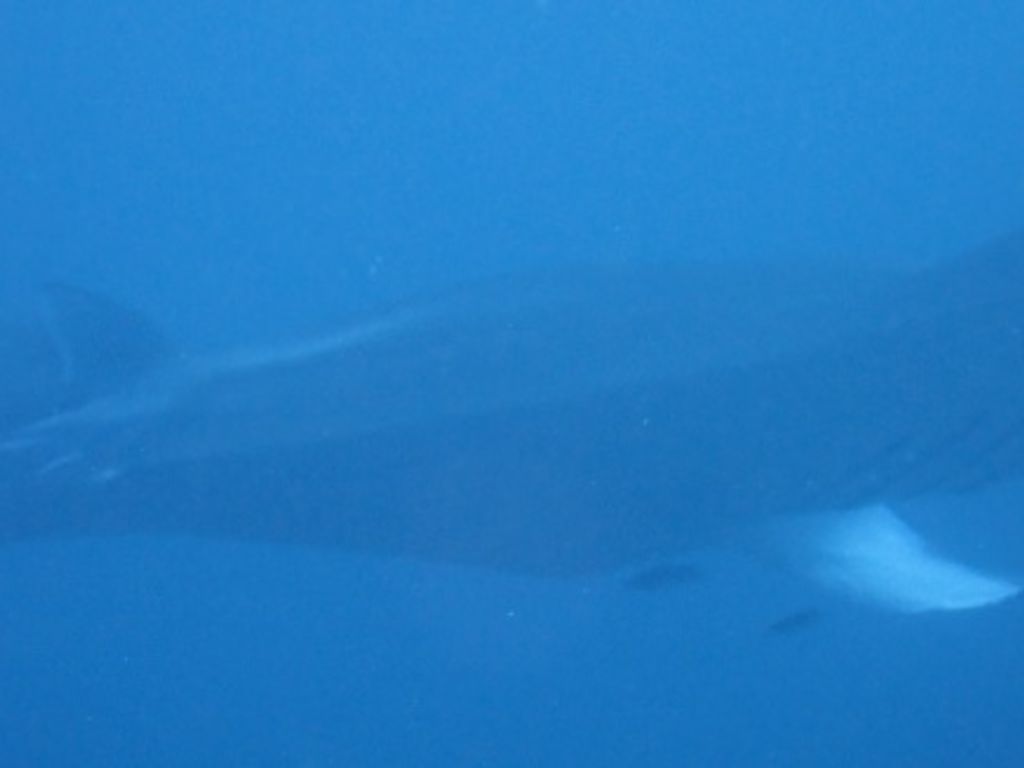 95c5b764-5171-4079-9eee-a03fc3718363