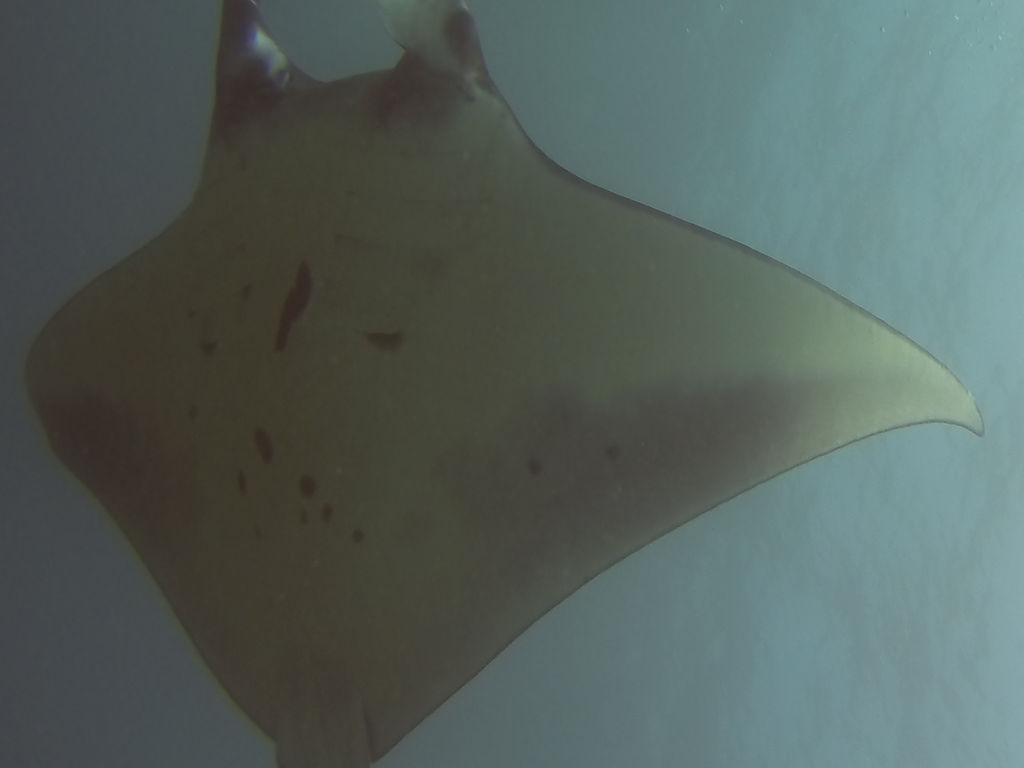 bd5ac41f-f120-4c49-b404-94ff32037558