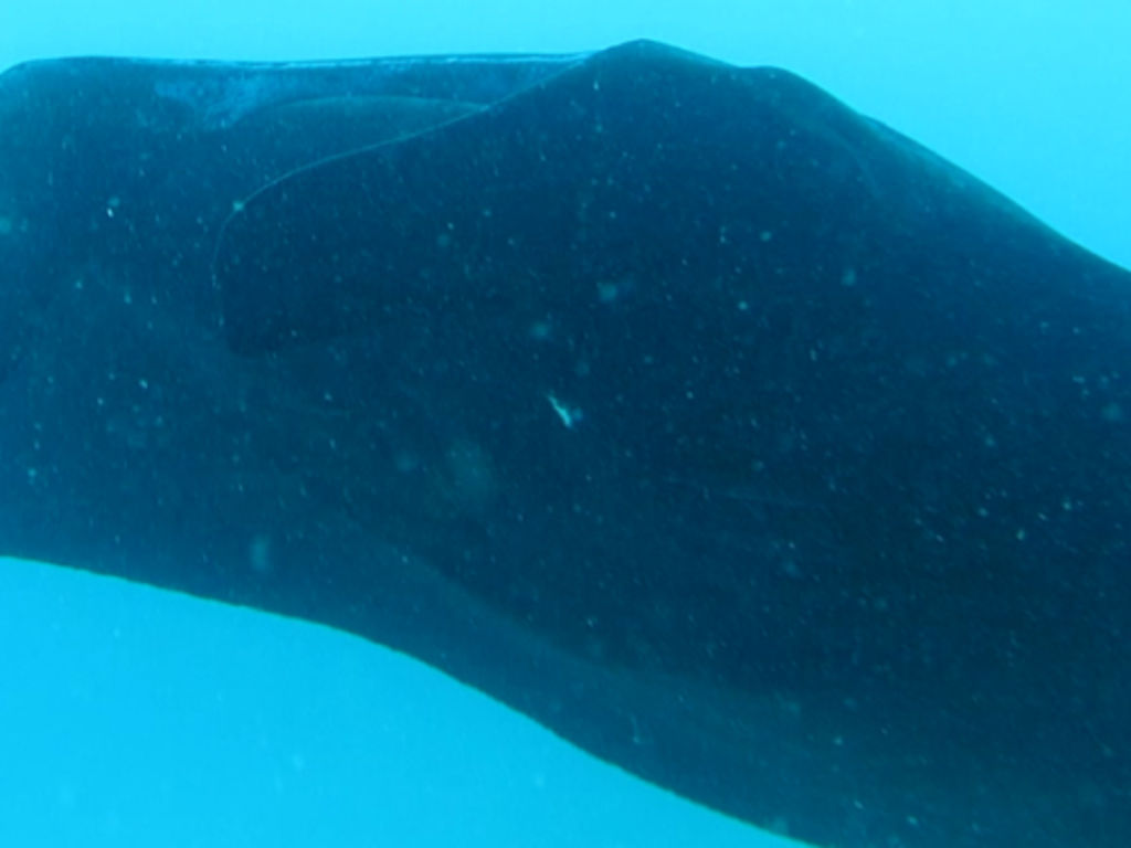 8322fc22-7577-439b-8544-294da5dda65a