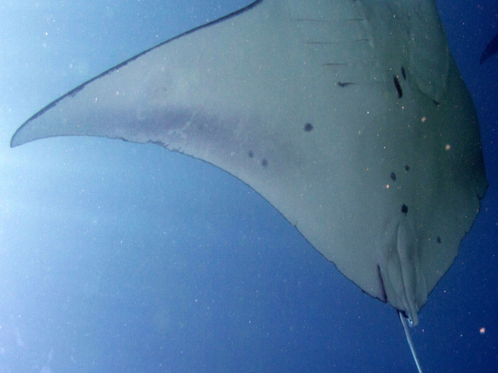 f297f01f-6fed-48d0-82b6-221b8ab0427a