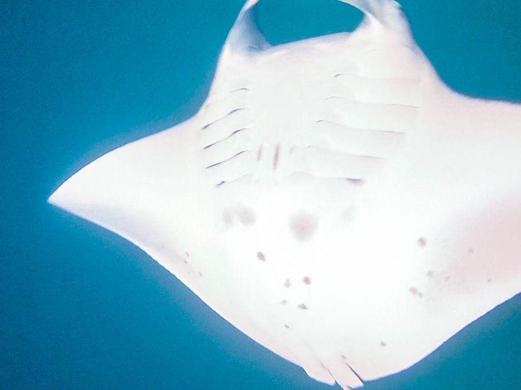 e5240013-76ef-48dc-a0c8-da0a53d653b3