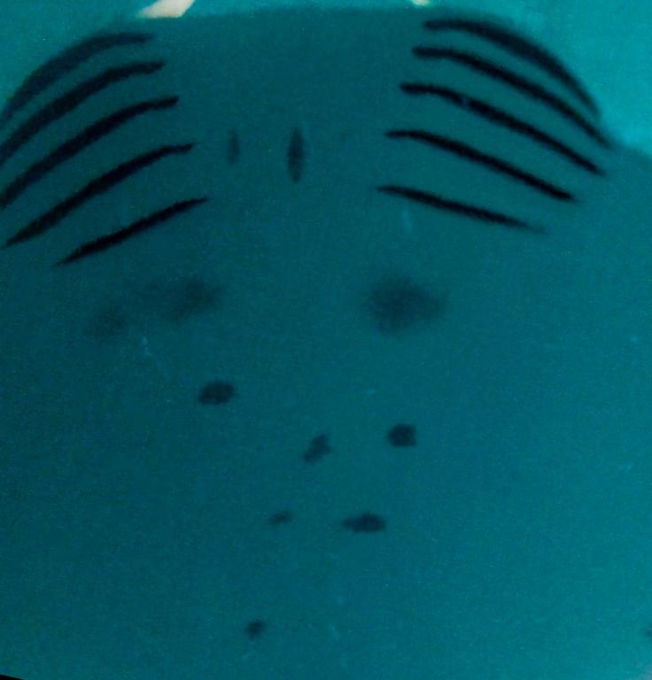 e5240013-76ef-48dc-a0c8-da0a53d653b3