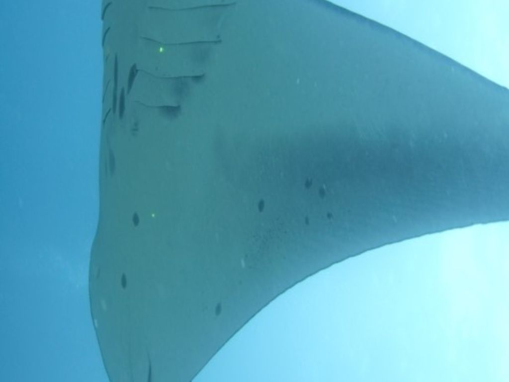 19370f99-a441-4b1a-9c62-bf9aad16977b