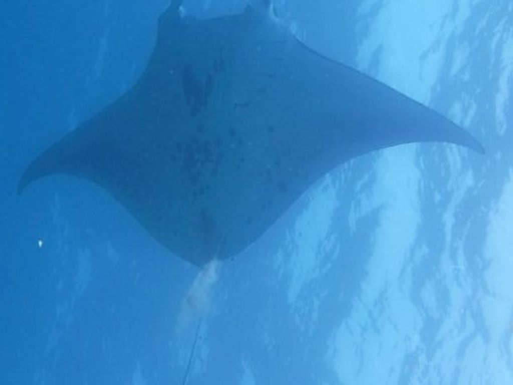 7a748fbb-6221-46b8-b577-514282ecfe09