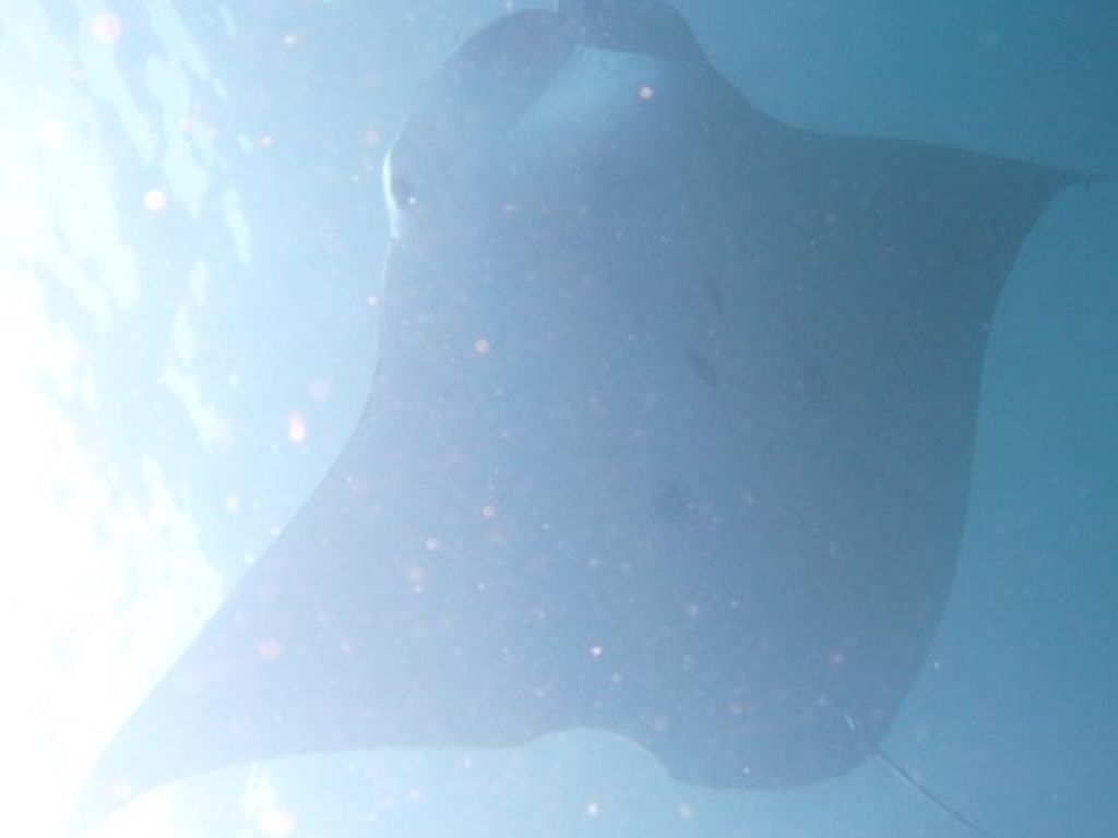 544bb27e-70d7-4ecc-8245-26eb0249eef7