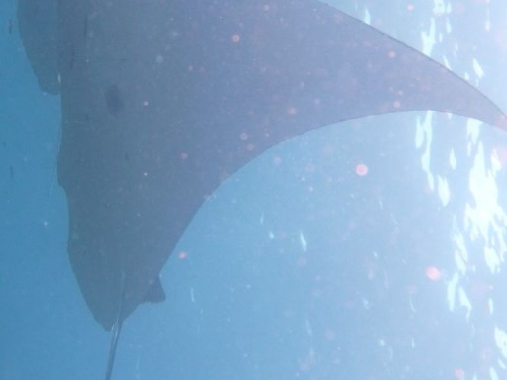 544bb27e-70d7-4ecc-8245-26eb0249eef7