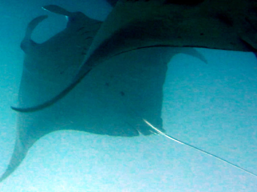 f297f01f-6fed-48d0-82b6-221b8ab0427a