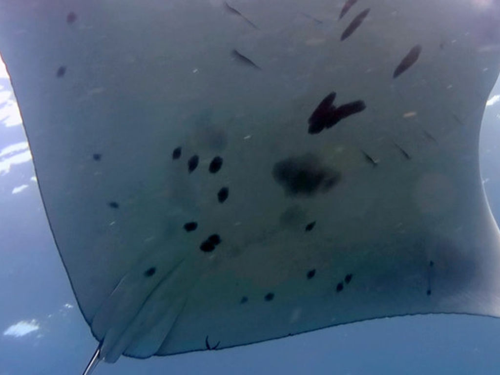 4b456611-3e03-46d5-95d5-271d7c497447