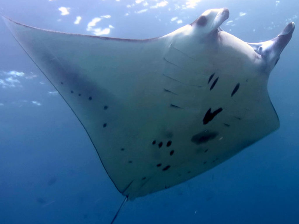 4b456611-3e03-46d5-95d5-271d7c497447