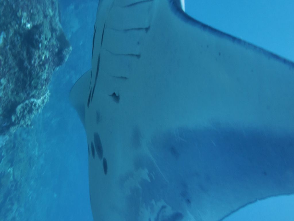 8e3aae23-b895-4570-a4d7-f935fcd95a0d