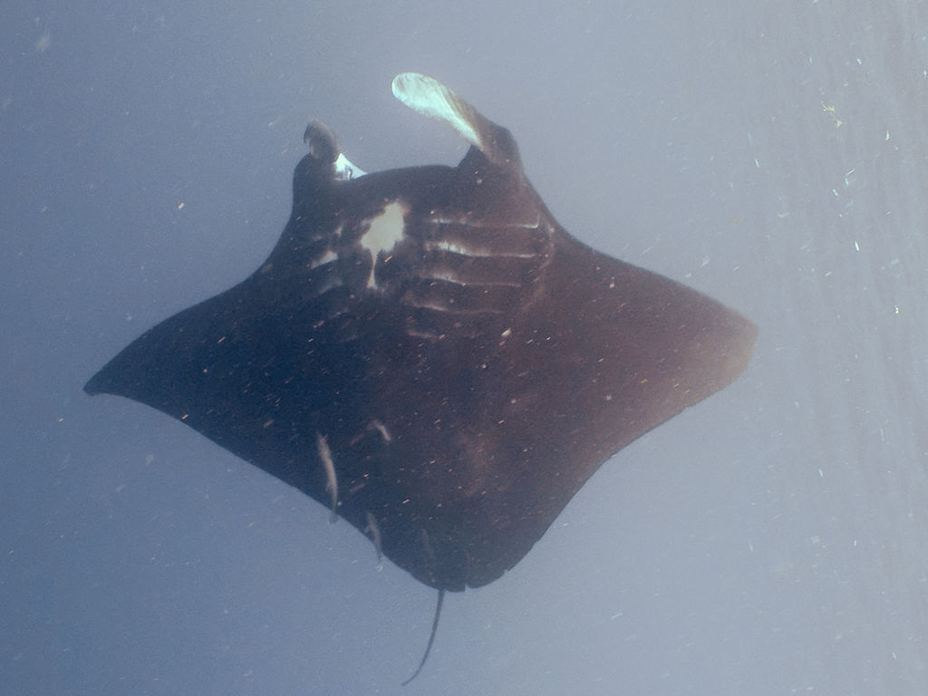 55ac8023-9fec-42ac-a1d7-f6ef9b255874