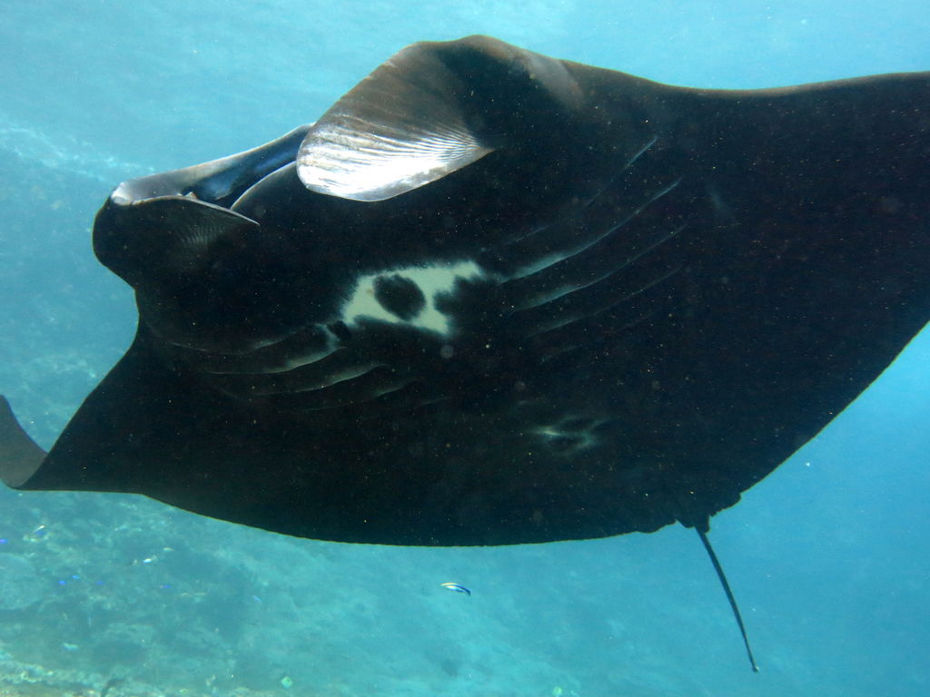 47b965ca-9455-47e2-85f1-952dba529f7b