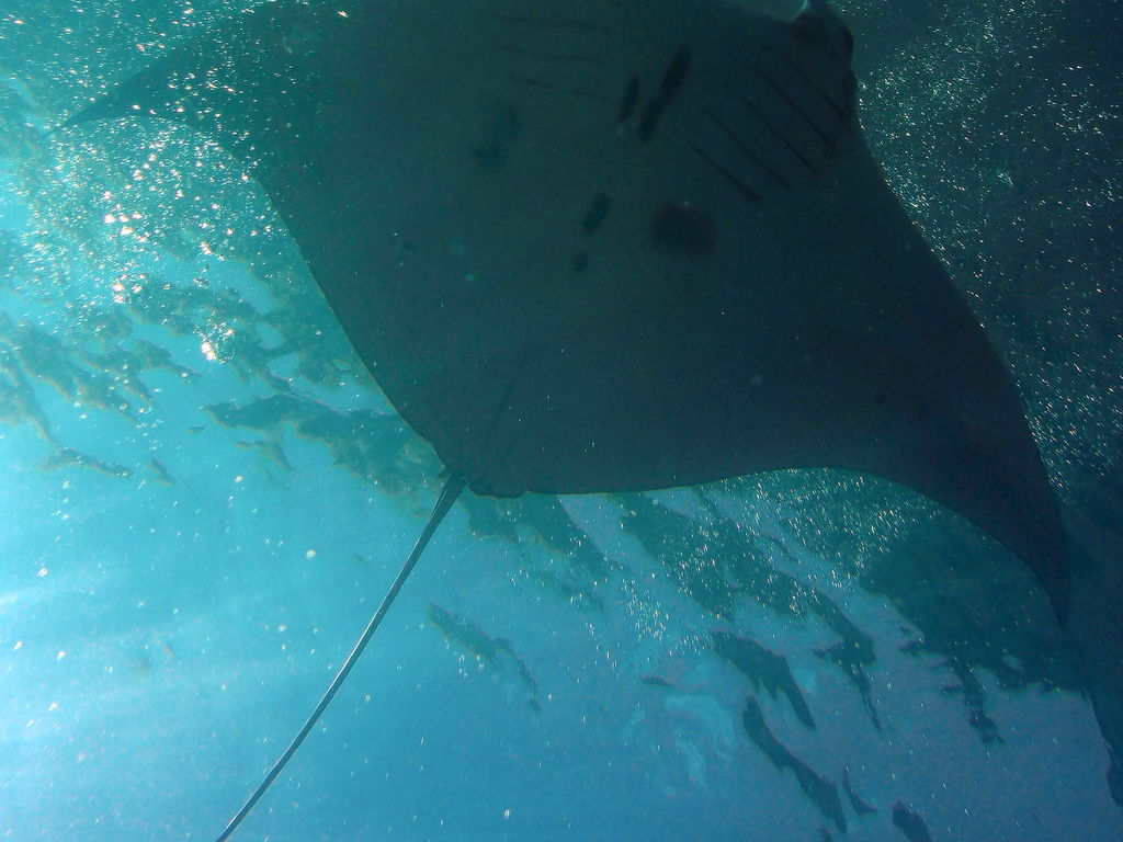 b54dac66-bf52-4763-8241-3790086fd06f