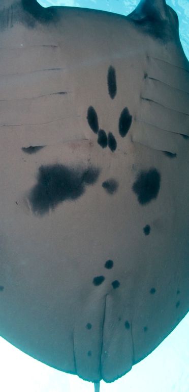 6905577f-4dc5-497e-8673-4430a590cdf4