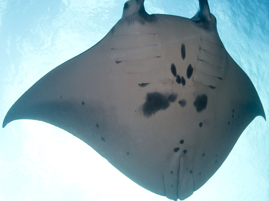 6905577f-4dc5-497e-8673-4430a590cdf4