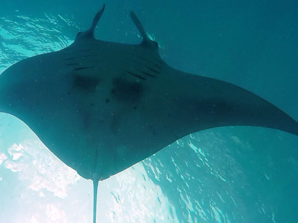 184aa254-3dbd-472b-80f1-ec644ec436fa