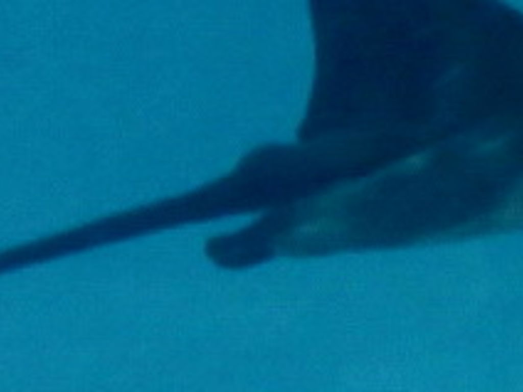 47b965ca-9455-47e2-85f1-952dba529f7b