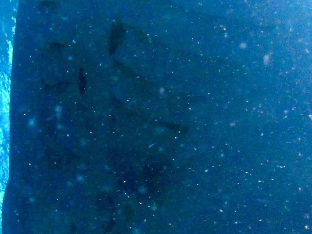 7cf10f00-4122-45b4-a1ec-7cdd108a971e