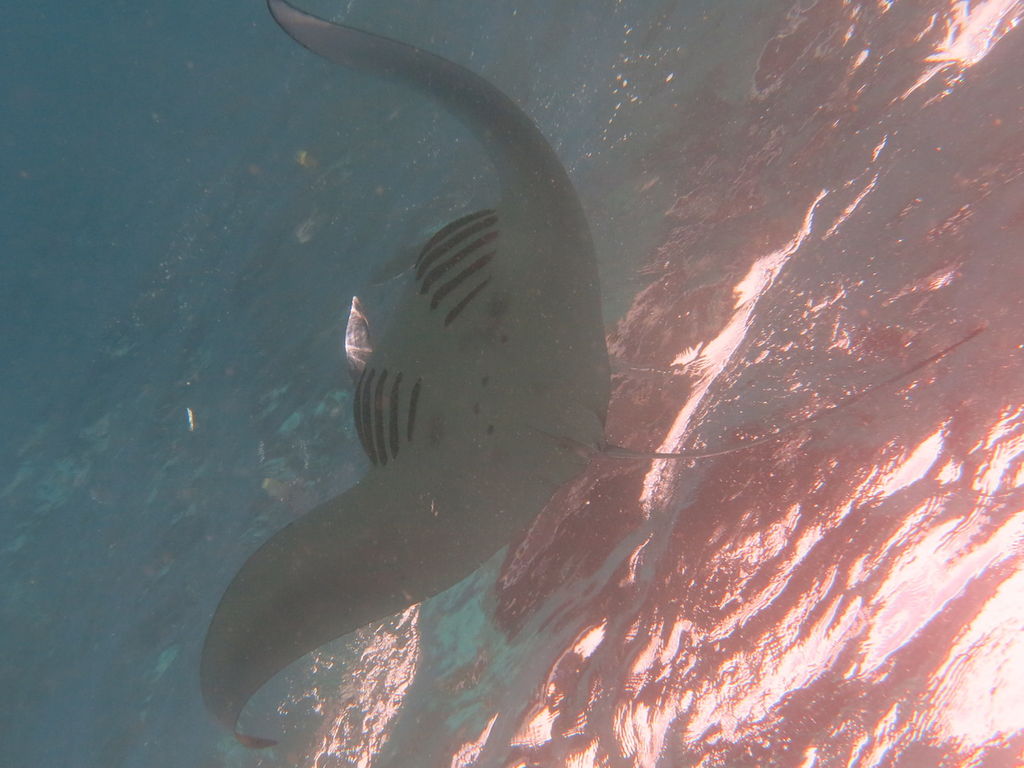 63409d76-e904-4234-ba61-9ad1d27cf053