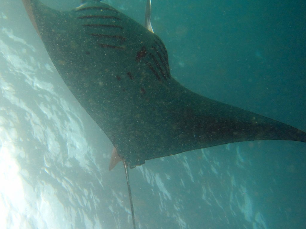 bd5ac41f-f120-4c49-b404-94ff32037558