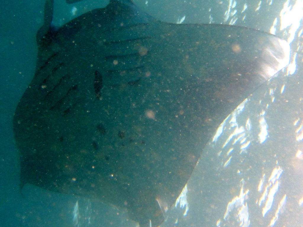 bd5ac41f-f120-4c49-b404-94ff32037558