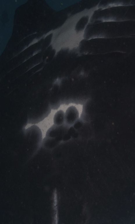 0cfeaab5-87a8-4e38-9e43-63f3a74c6037