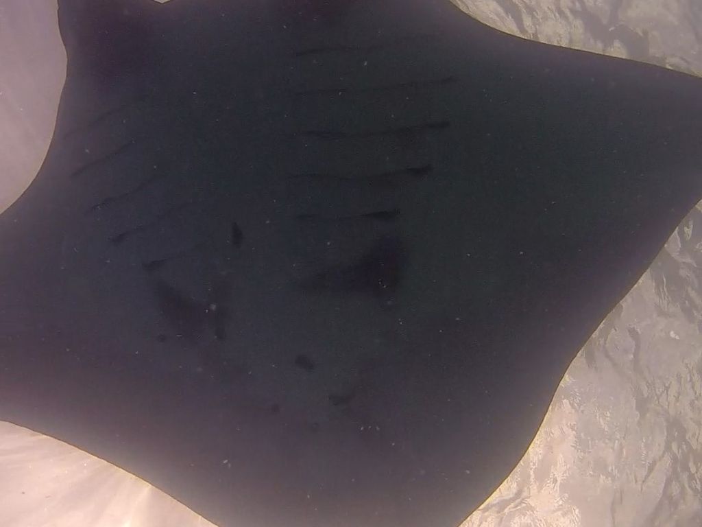 afd5dc24-bc56-4d9c-8c63-bf2653ffbda7