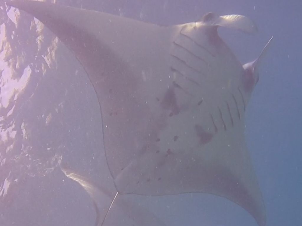 afd5dc24-bc56-4d9c-8c63-bf2653ffbda7