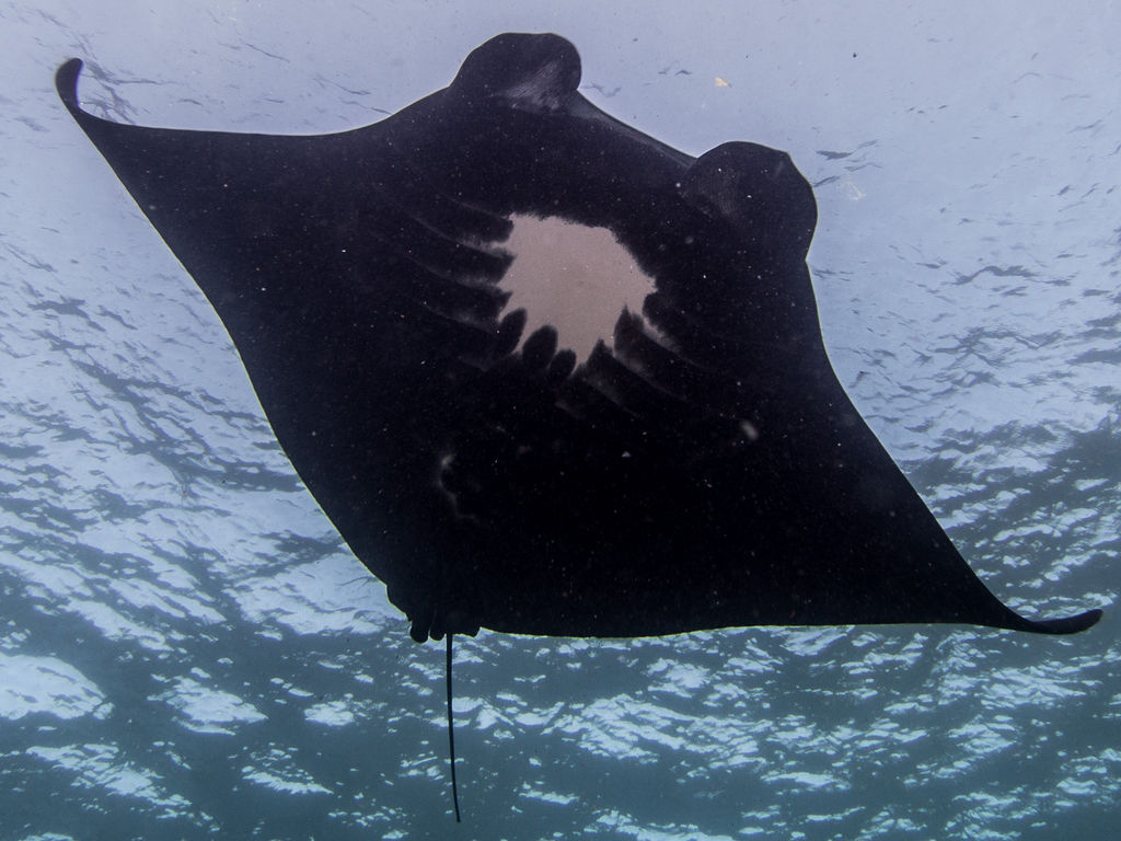 91242716-0514-409b-930c-15dd0ee9c932