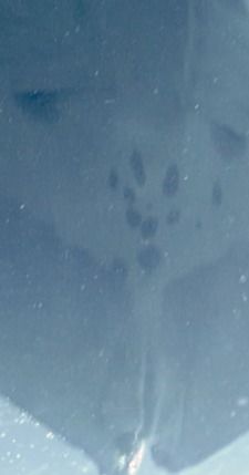 aa0c131b-0c91-4e69-97a9-bc5cad422d7d