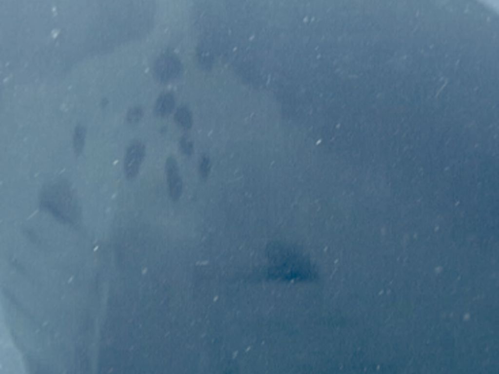 aa0c131b-0c91-4e69-97a9-bc5cad422d7d