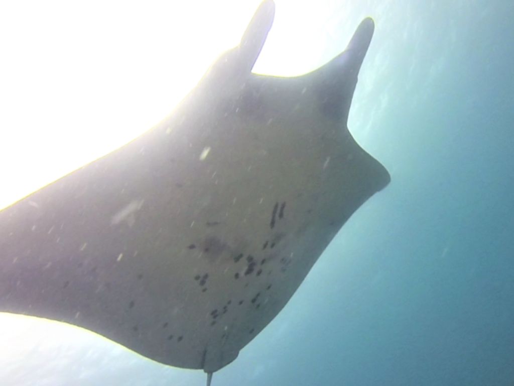 b1da55e3-f955-404f-a43d-af198206f392