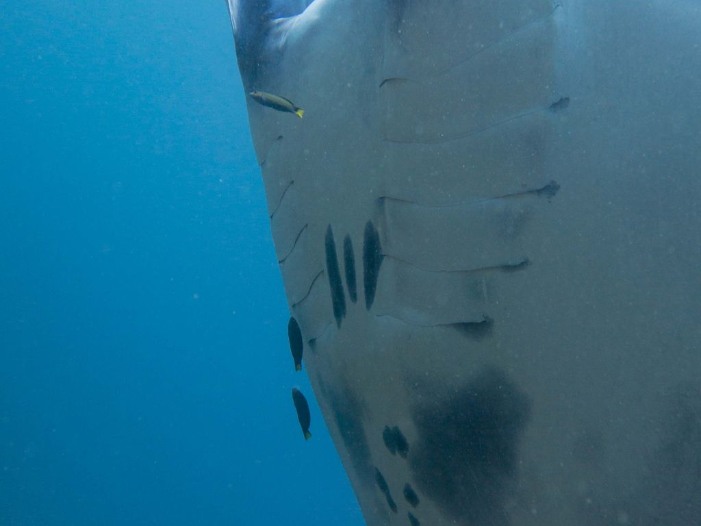 5f109472-67e7-411e-95e3-78b2ac58fc5b