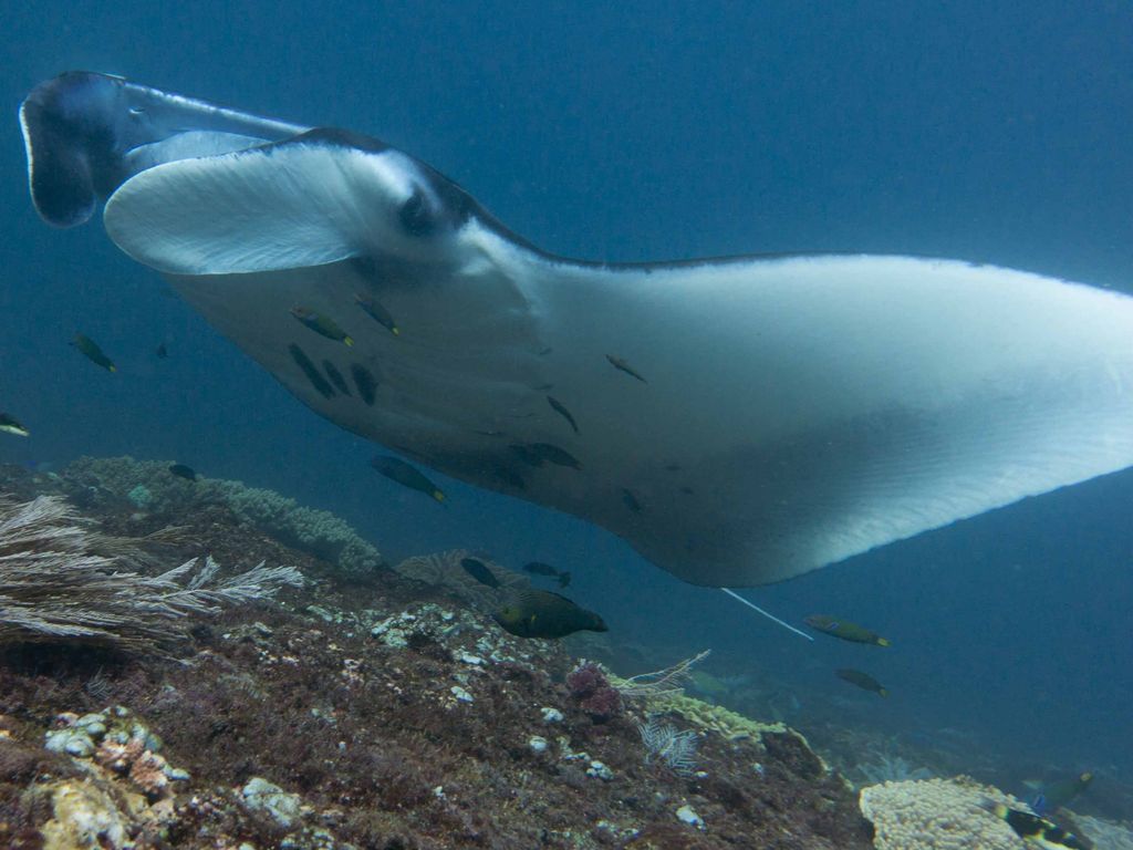 5f109472-67e7-411e-95e3-78b2ac58fc5b