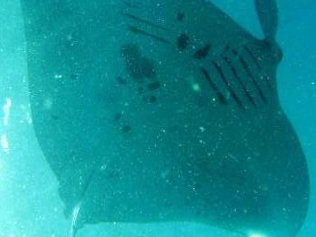 40f8c40d-c500-475d-b070-53b08654fe51