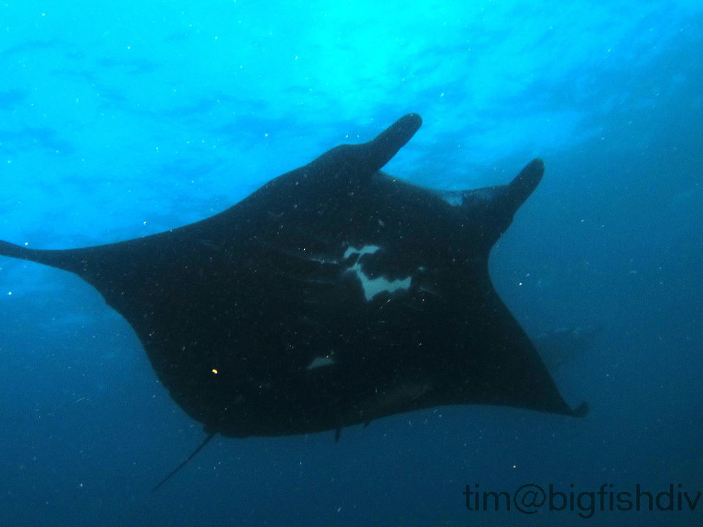 8614f9f9-cb58-4831-b72a-85d27e598525