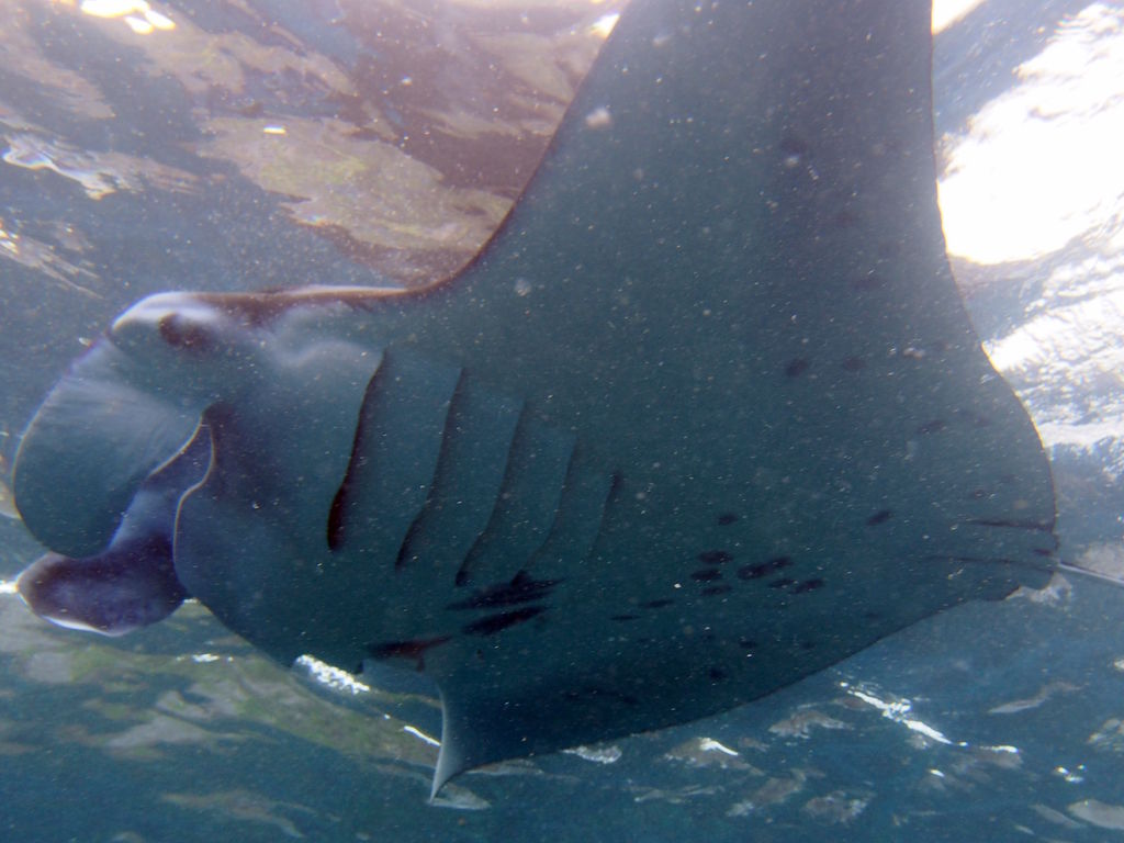 d313747b-ce22-49f2-83cb-2118a9ab10d1