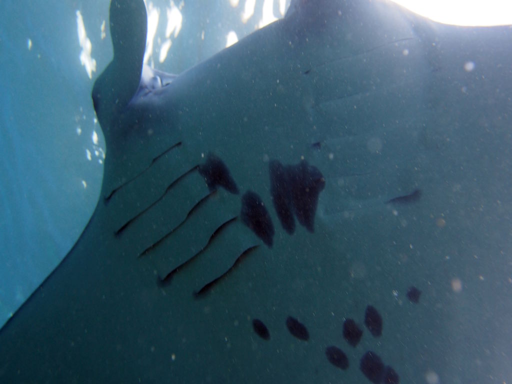 d313747b-ce22-49f2-83cb-2118a9ab10d1